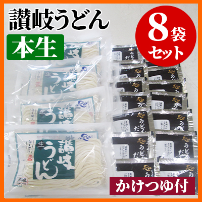 讃岐うどん（生麺16人前、かけつゆ付）